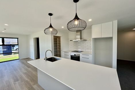 Photo of property in 15 John Gibb Street, Belfast, 8051