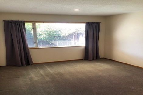 Photo of property in 9 Isabella Place, Waltham, Christchurch, 8011
