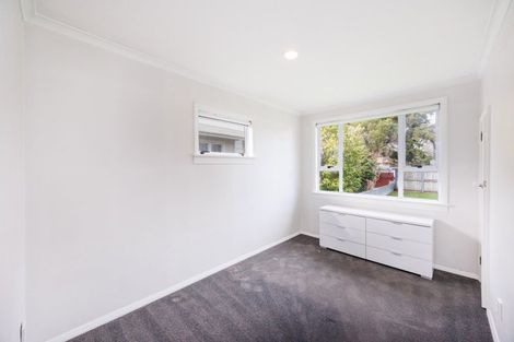 Photo of property in 345 Tremaine Avenue, Takaro, Palmerston North, 4412