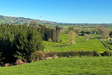 Photo of property in 235 Norwegian Road, Rotoorangi, Cambridge, 3495