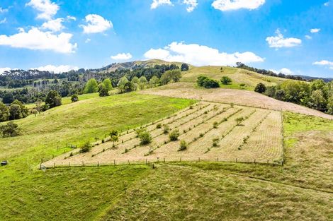 Photo of property in 1425 Whangaripo Valley Road, Whangaripo, Wellsford, 0972