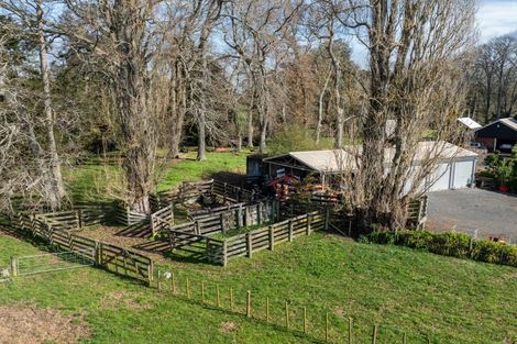 Photo of property in 51a Horrell Road, Morrinsville, 3374