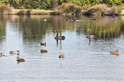Photo of property in 2008d Cove Road, Mangawhai, 0573