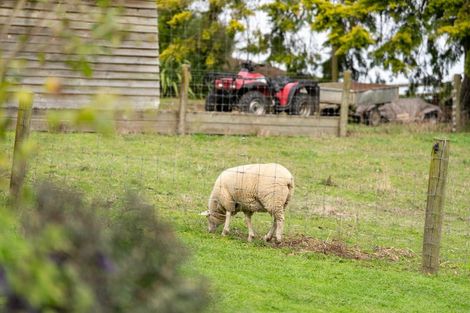 Photo of property in 533 Pencarrow Road, Tamahere, Hamilton, 3283
