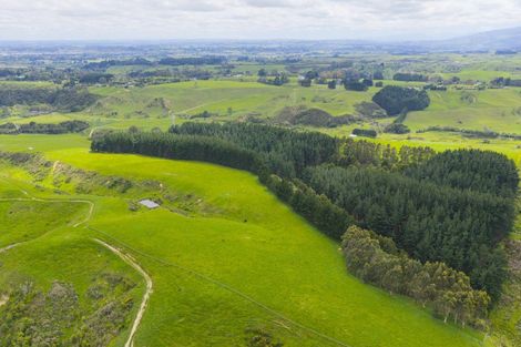 Photo of property in 158 Pahiatua Aokautere Road, Aokautere, 4471