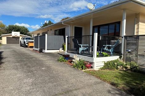 Photo of property in 20 Lewis Street, Glenview, Hamilton, 3206