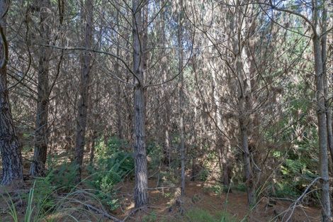 Photo of property in 425d Boat Harbour Road, Whenuakite, Whitianga, 3591