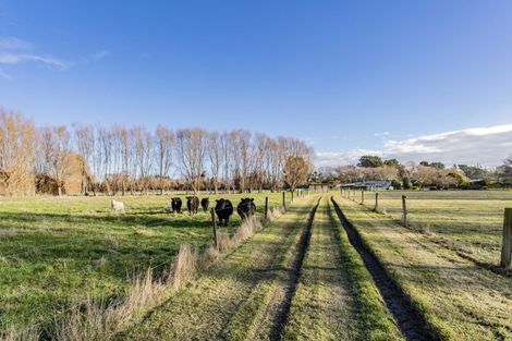 Photo of property in 69 Kowai River Road, Amberley, 7481