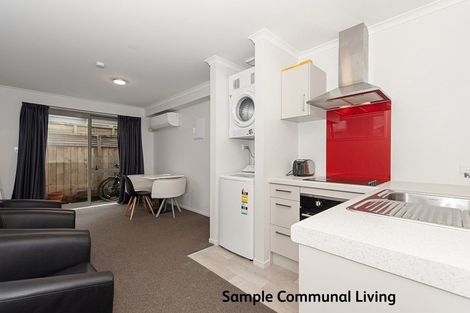 Photo of property in 28u3 Hunter Street, Hamilton Lake, Hamilton, 3204