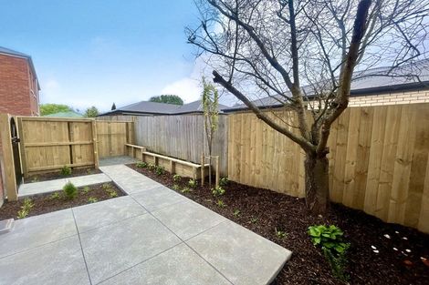 Photo of property in 41u2 York Street, Hamilton East, Hamilton, 3216
