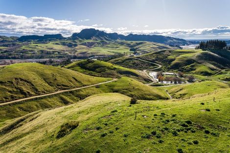 Photo of property in 599 Waimarama Road, Tuki Tuki, 4294