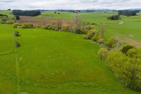 Photo of property in 260 Haynes Line, Beaconsfield, Feilding, 4777