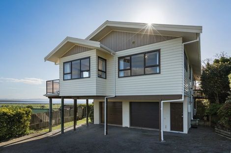 Photo of property in 224 Reservoir Road, Thames, 3500