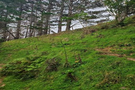 Photo of property in 482 Krippner Road, Puhoi, Warkworth, 0994