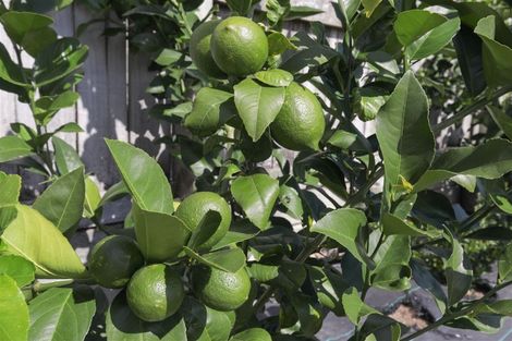 Photo of property in 117a Rayner Road, Huntly, 3700