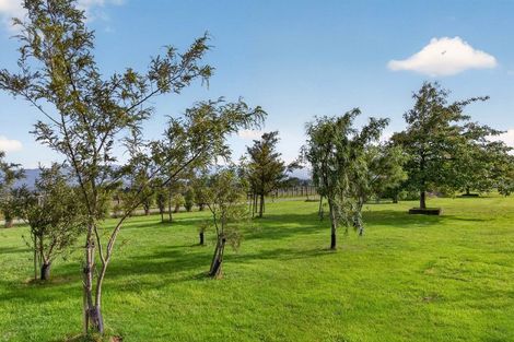 Photo of property in 216 Glenmorven Road, Morison Bush, Greytown, 5794