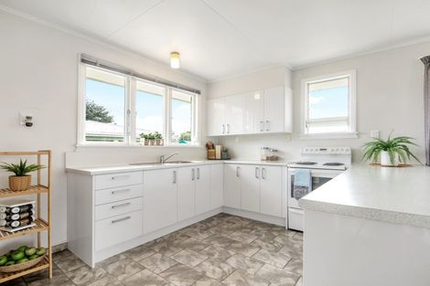 Photo of property in 19 Hale Street, Blenheim, 7201