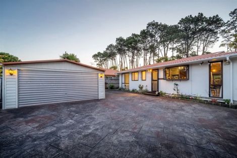 Photo of property in 163 Portage Road, New Lynn, Auckland, 0600