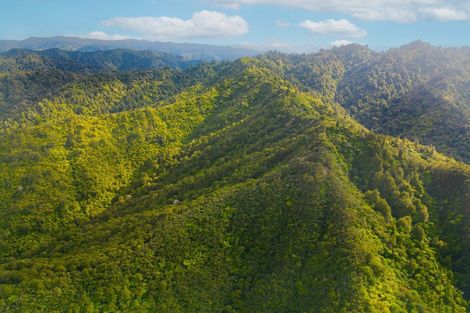 Photo of property in 477 Stafford Loop Road, Awatuna, 7882
