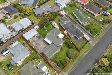 Photo of property in 4 Bingara Place, Favona, Auckland, 2024