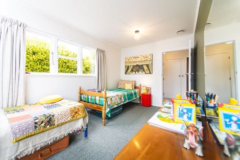 Photo of property in 13 Mole Street, Greytown, 5712