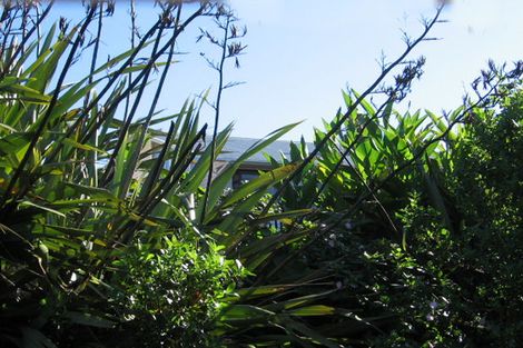 Photo of property in 65 Shetland Street, Glen Eden, Auckland, 0602