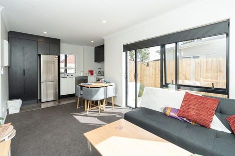 Photo of property in 12u1 Charlemont Street, Whitiora, Hamilton, 3200