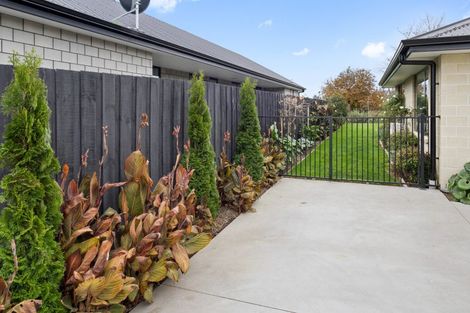 Photo of property in 23 Redhaven Rise, Netherby, Ashburton, 7700