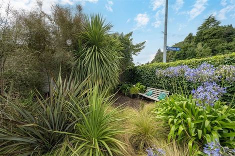 Photo of property in 6 Brook Street, The Brook, Nelson, 7010