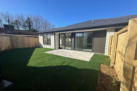 Photo of property in 119 Fitzroy Avenue, Fitzroy, Hamilton, 3206