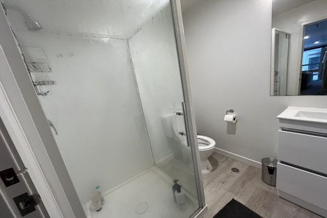 Photo of property in Hanson House, 27u4 Hanson Street, Mount Cook, Wellington, 6021