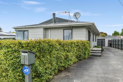 Photo of property in 79 Worcester Street, Ashhurst, 4810