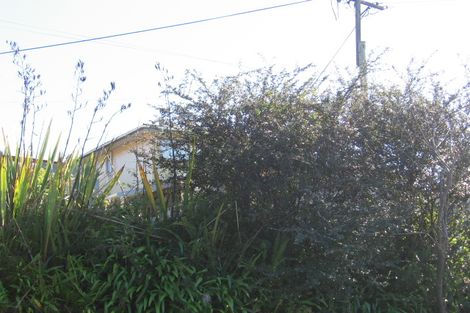 Photo of property in 67 Shetland Street, Glen Eden, Auckland, 0602
