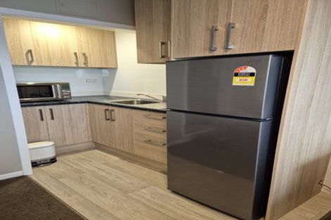 Photo of property in Avon Flats, 217u7 The Terrace, Wellington Central, Wellington, 6011