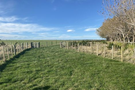 Photo of property in 188 Reynolds Road, Ratana, Whanganui, 4581