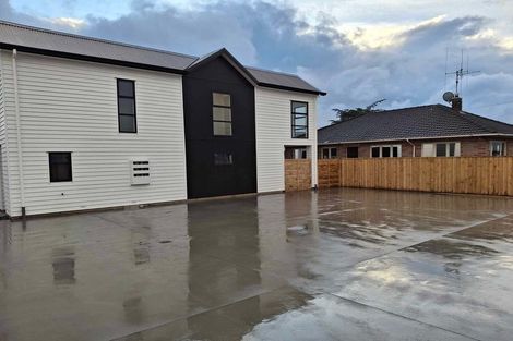 Photo of property in 149 Nixon Street, Hamilton East, Hamilton, 3216