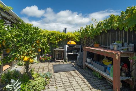 Photo of property in 20 Ward Street, Springlands, Blenheim, 7201