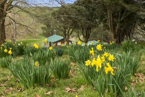 Photo of property in 76 Stewart Road, Whakamarama, Katikati, 3181