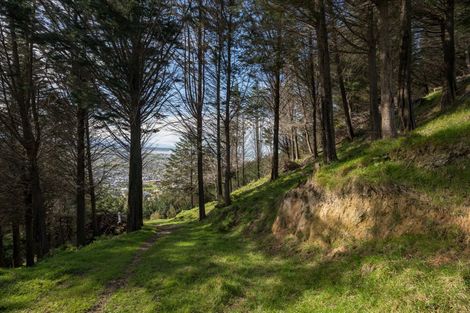 Photo of property in 14 Hillplough Heights, Richmond, 7020