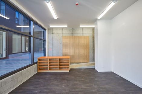 Photo of property in Vsp Nothern Tower, 166c1 Victoria Street, Te Aro, Wellington, 6011