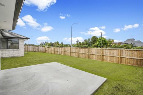 Photo of property in 52 Maggie Place, Chartwell, Hamilton, 3210