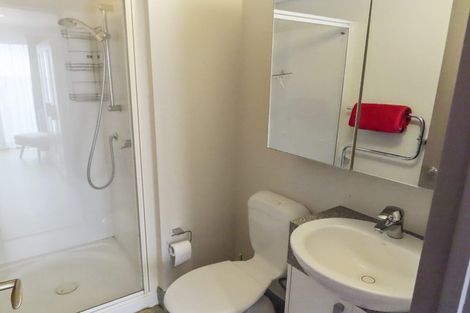 Photo of property in Dual Apartments, 108/142u Vivian Street, Te Aro, Wellington, 6011