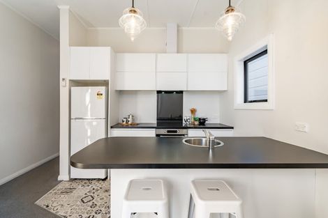 Photo of property in 151 Tasman Street, Mount Cook, Wellington, 6021