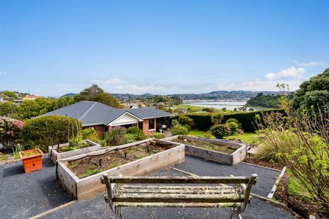 Photo of property in 43 Sunbury Street, Andersons Bay, Dunedin, 9013