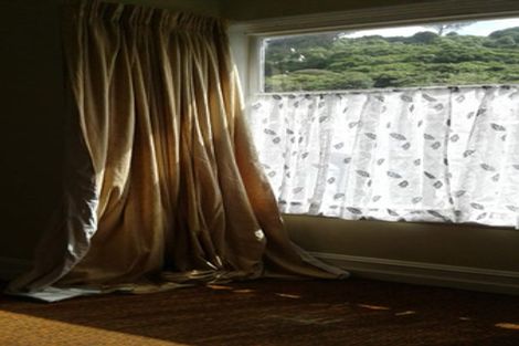 Photo of property in 37 Woodhaugh Street, Woodhaugh, Dunedin, 9010