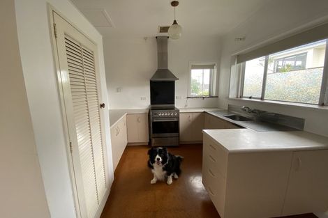 Photo of property in 22 Niccol Avenue, Narrow Neck, Auckland, 0624