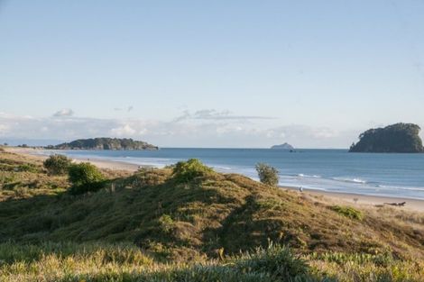 Photo of property in 6 Adams Avenue, Mount Maunganui, 3116