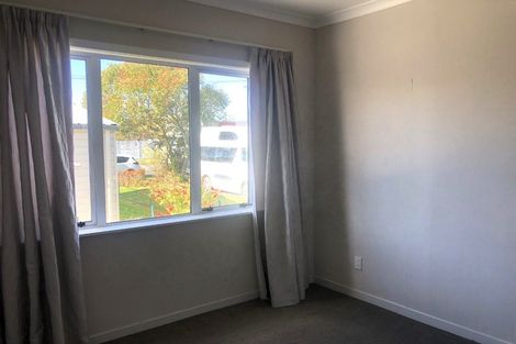 Photo of property in 103 Nixon Street, Hamilton East, Hamilton, 3216