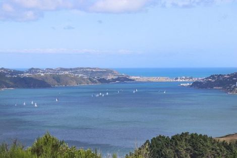 Photo of property in 46 Grumman Lane, Newlands, Wellington, 6037