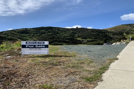 Photo of property in 21 Skylark Rise, Todds Valley, Nelson, 7071